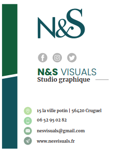 N S visual Image3